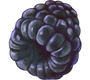 Birkac-satir-govde-metni-ekle-1.png