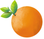 Birkac-satir-govde-metni-ekle-15.png